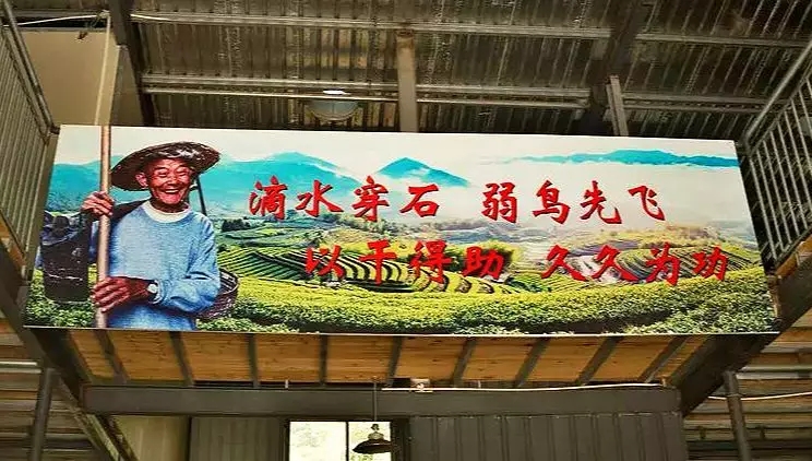 《2019·习近平的信札》之下党乡亲篇丨此情绵长暖茶乡