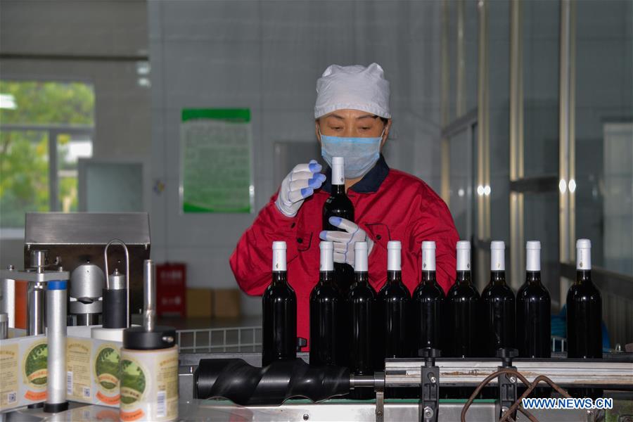 CHINA-INNER MONGOLIA-CHIFENG-GRAPE-INDUSTRY (CN)