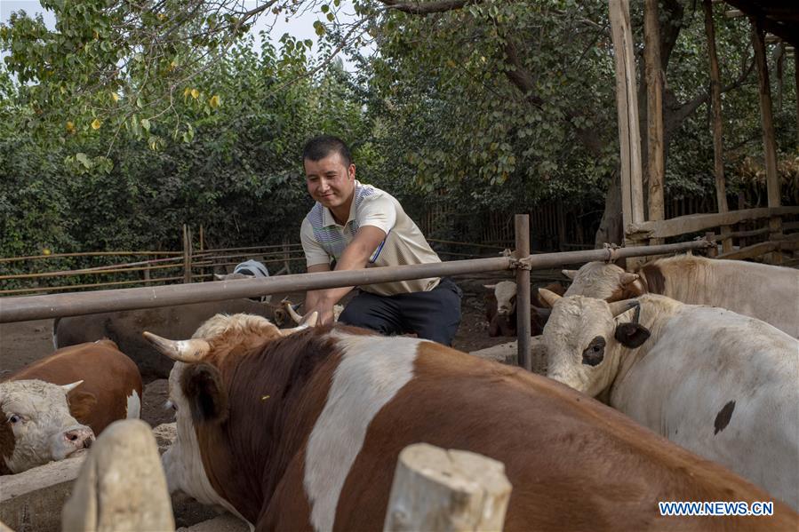 CHINA-XINJIANG-HOTAN-ANIMAL HUSBANDRY (CN)