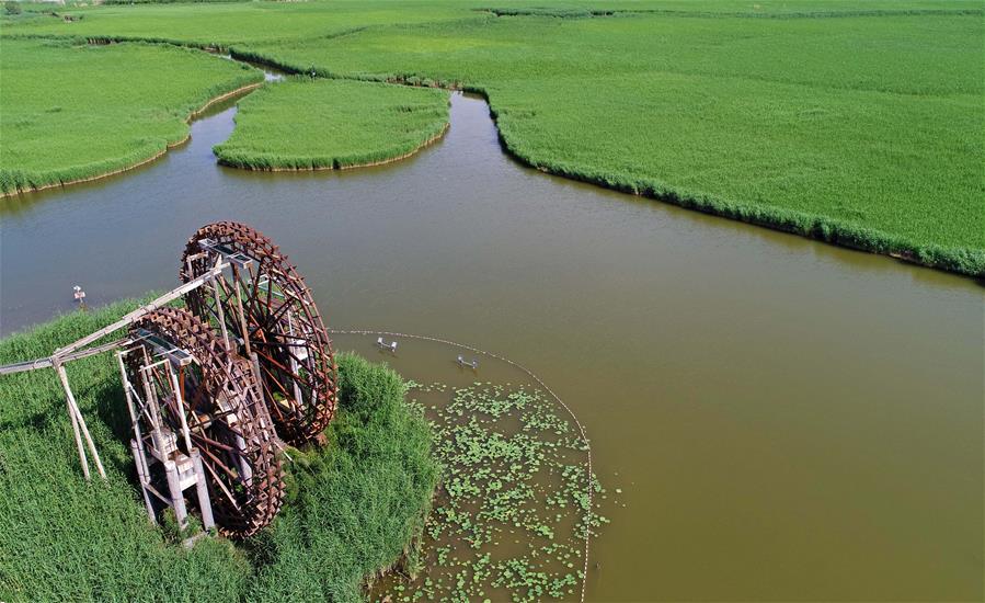 Central China's Wuhan to run for int'l wetland city