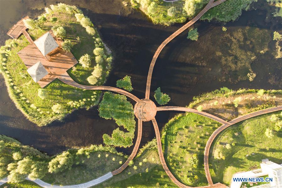 CHINA-HEILONGJIANG-FUJIN-ENVIRONMENT-WETLAND (CN)