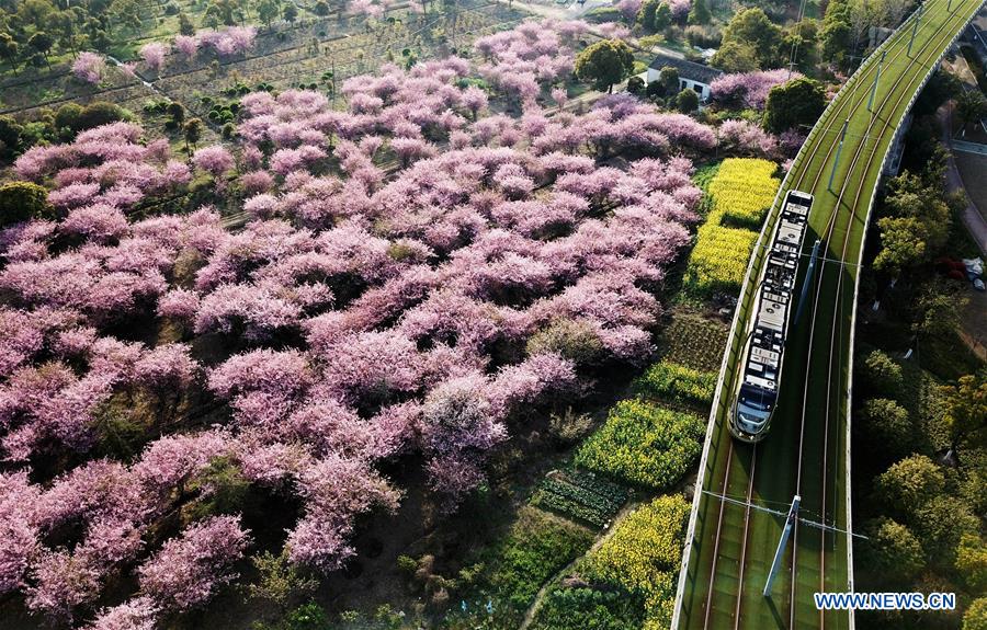 CHINA-13TH FIVE-YEAR PLAN-GREEN DEVELOPMENT (CN)