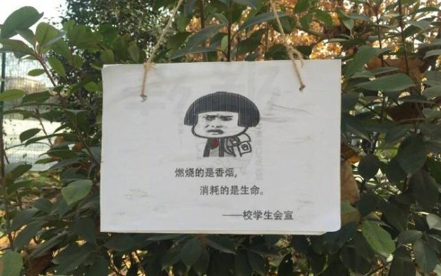 高校禁烟表情包火了 Anti-smoking campaign at NW college goes viral